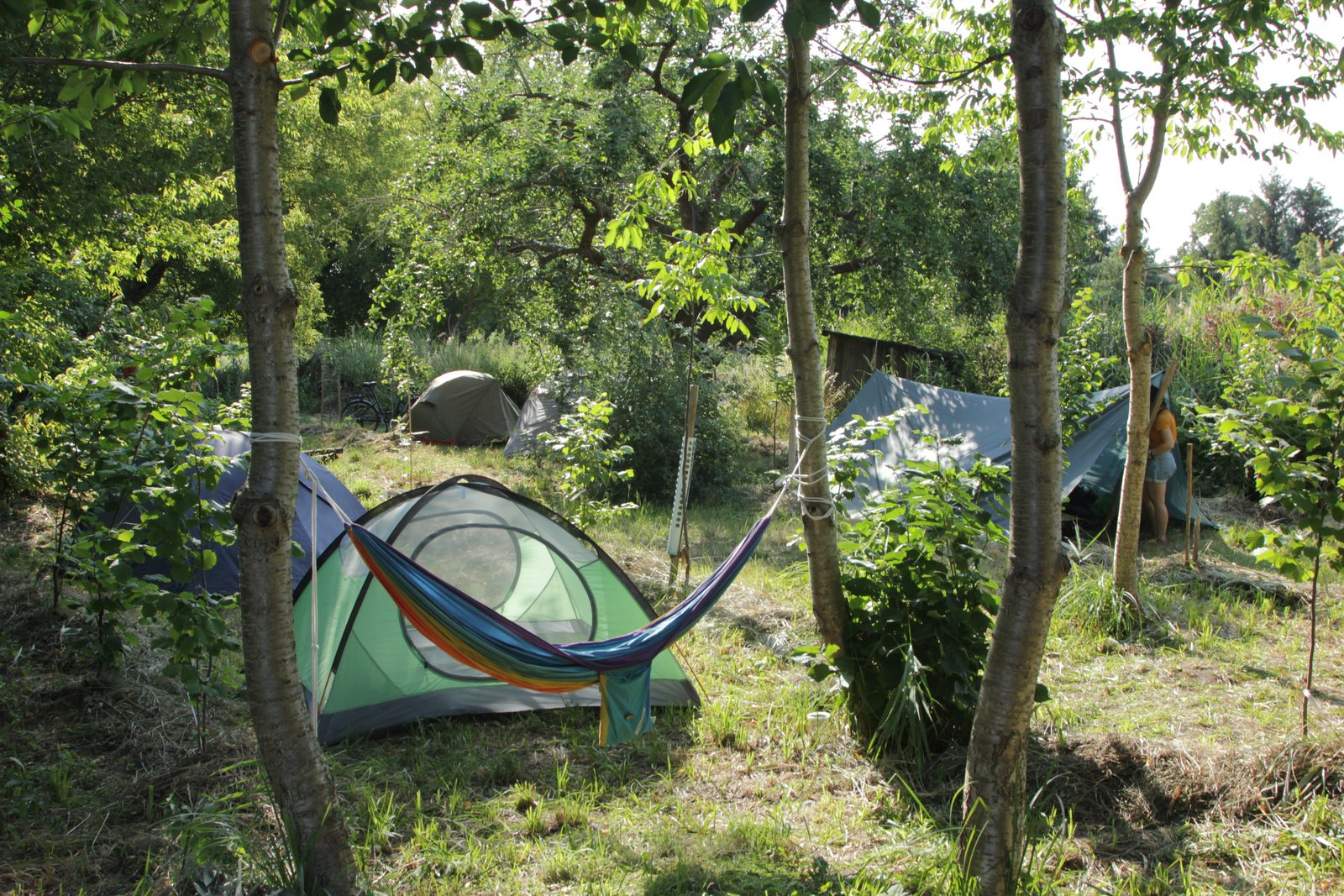 Zelt und Hängematte im Grünen an der Frieda