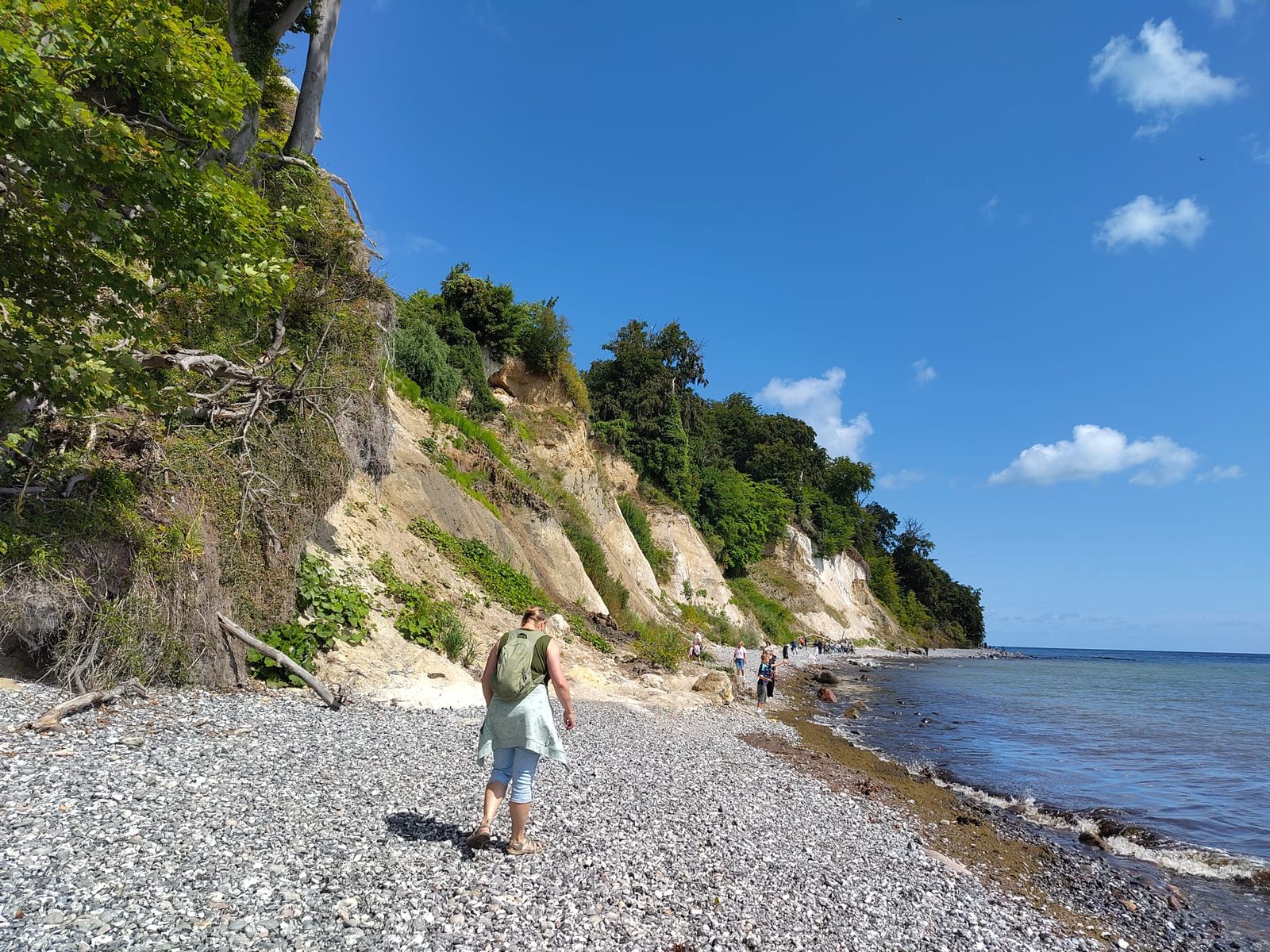 Steilküste auf Rügen, eine Spaziergängerin auf dem Steinstrand unter dem bewachsenen Kliff